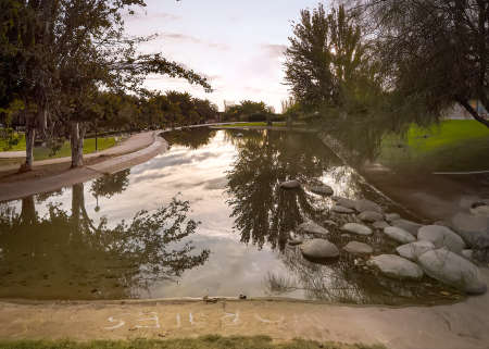 reflection sun sunset park tree reflection sunの写真素材