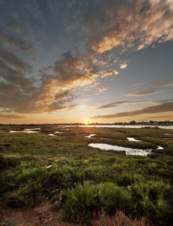 sunrise red sea marshの写真素材