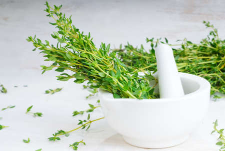 Thyme twigs in the pounder on white wooden table. Food fotoの写真素材
