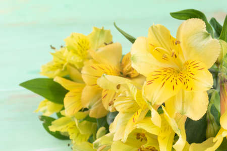 Yellow Alstroemeria on the green wooden backgroundの写真素材