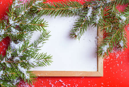 Frame to Your text on red background with christmas treeの写真素材