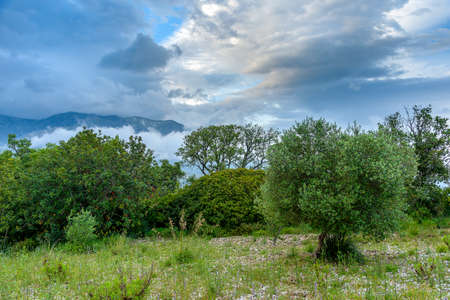 Beautyful cloudy landscape in the mountains near Scauri, Italyの写真素材