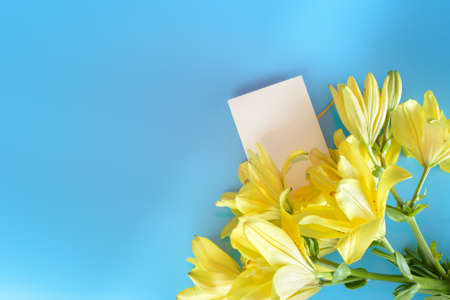 Close up of Lily flowers and card on the blue background.