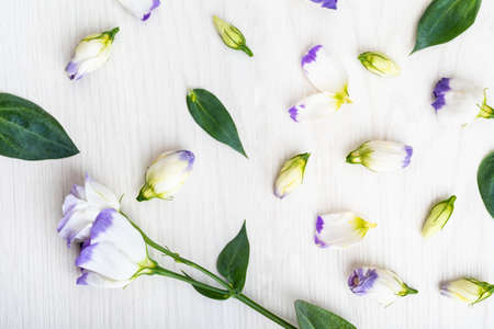 White Eustoma on the wooden background. Flat lay.