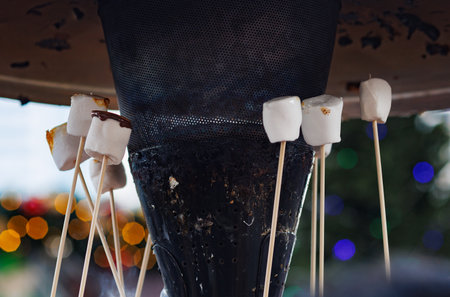 Group of people are roasting marshmallows over a fireの写真素材