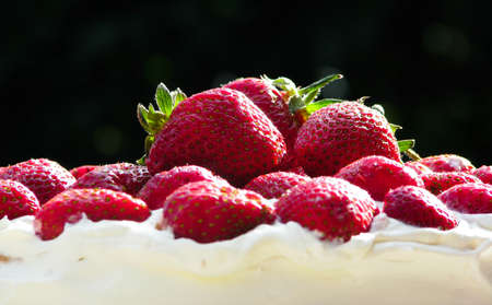 Strawberry cakeの写真素材