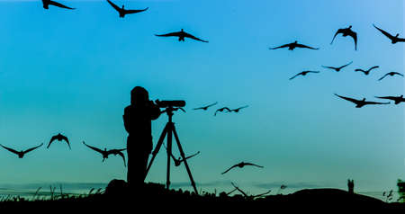 Bird Watcher Silhouette