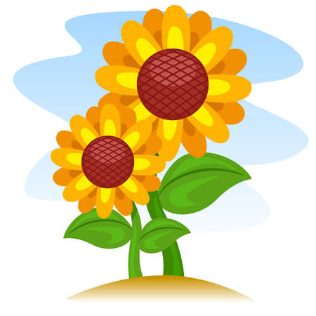Sunflowerのイラスト素材