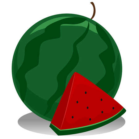 Watermelonのイラスト素材