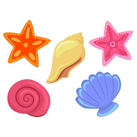 Vector Illustration of Colorful Sea Shells and StarFishのイラスト素材