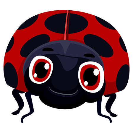 Vector Illustration of Lady Bug Cartoonのイラスト素材