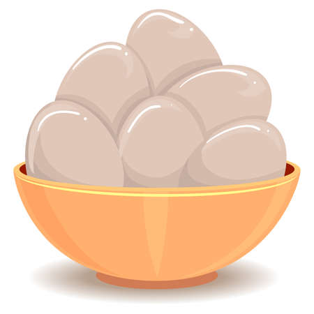Vector Illustration of Eggs in the Bowlのイラスト素材
