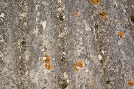 The surface texture of stoneの写真素材