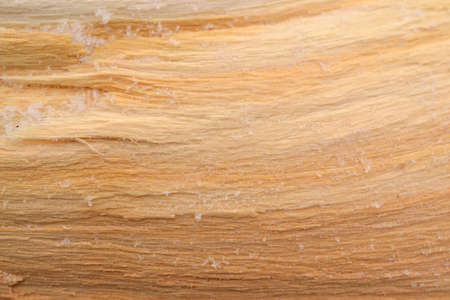 texture woodの写真素材