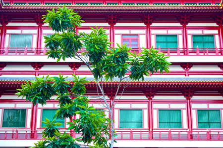 Wooden archiecture made entirely of woodの写真素材