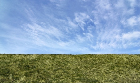 Green field. Straight horizon, suitable as background or banner.の写真素材