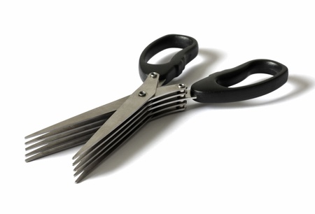 Special Herb Scissor with multiple blades.