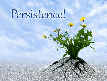 The power of persitence, inspiring conceptual image with added quote.の写真素材