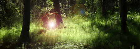 Panorama of deep forest with lush green plants enlighten by mysterious light and flares.の写真素材