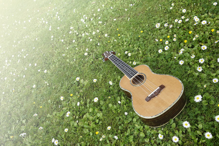 Ukulele Dream. Bright and sunny concept in springtime with an isolated ukulele on green grass and flowersの写真素材