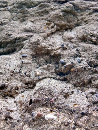 An unpolished cemented wall close up