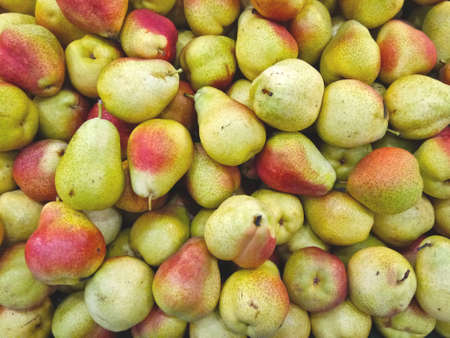 Stack of Comice Pear. It has unique reddish mark. Fruit is being sold on fresh fruit marketの写真素材