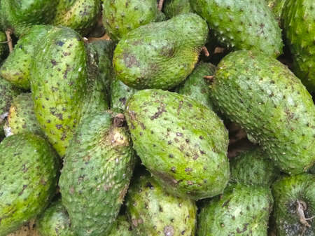 Close up photo stack of soursop fruit. Soursop fruit is believed as nutritious fruit for cancer treatment. The fruits is being sold on fresh fruit marketの写真素材