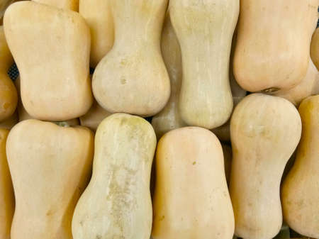 A close up photo of stack of butternut pumpkin in the fresh ingredient marketの写真素材