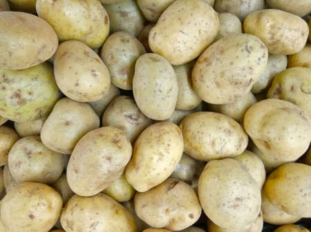 A close up photo of stack of potatoes in the fresh ingredient marketの写真素材