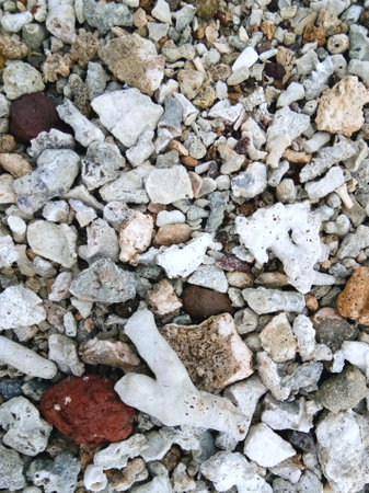 white pebbles on the seashore, close-up