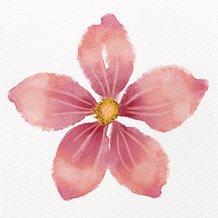 Watercolor illustration of a pink flower on a white paper background.の写真素材