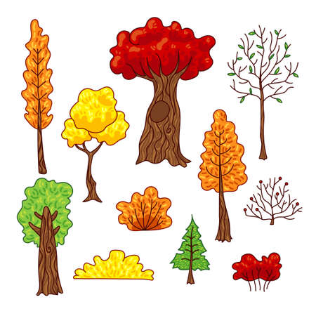Set of vector cartoon illustration of autumn trees and bushes. Bundle of colorful trees with orange, yellow green and red leaves. Isolated forest branches, backyard, park trees on white background.のイラスト素材