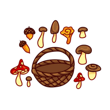 Set of basket with mushrooms and acorns. Bundle - white mushroom, fly agaric, chanterelle, honey mushrooms. Vector illustration in cartoon style for kids, isolated on white background.のイラスト素材