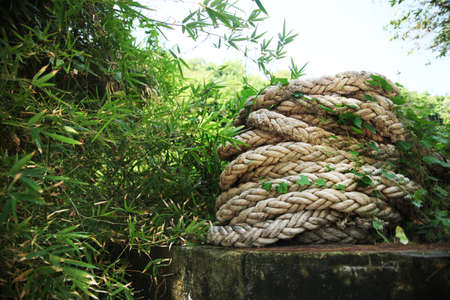 rope hank in thickets