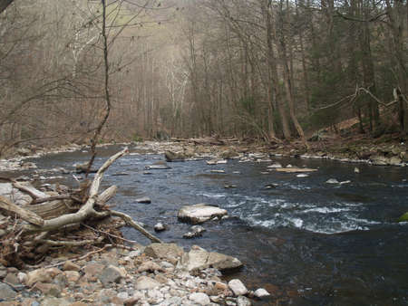 rushing stream の写真素材