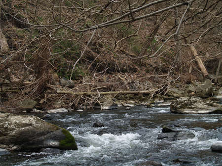 rushing streamの写真素材