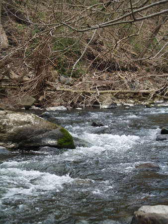 rushing streamの写真素材