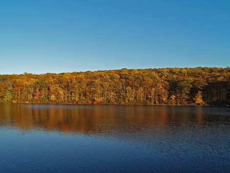 Lake in Fallの写真素材