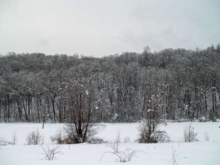 Winter sceneの写真素材