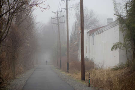 Path on a foggy morningの写真素材