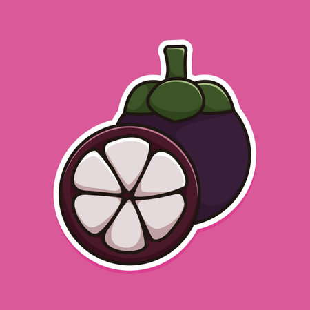 mangosteen fruit design, vector illustration, mangosteen sticker fruit iconのイラスト素材