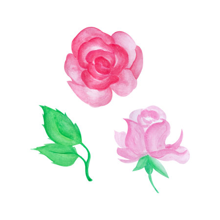 Hand painted rose, hand drawn watercolor vector illustration for greeting card or invitation designのイラスト素材