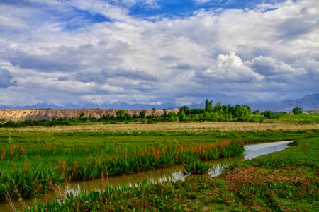 Beautiful summer meadow with green grass and low cloudsの写真素材
