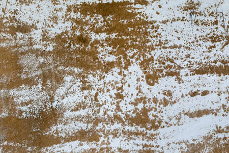 Wood texture background. Place to insert text. Old styleの写真素材