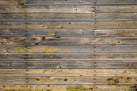 Wood texture background. Place to insert text. Old styleの写真素材