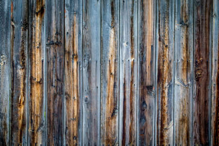 Wood texture background, with a green twig. Place to insert text. Old style.