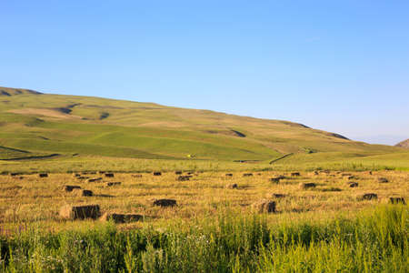 Summer landscape. Mountains and green fields. A beautiful day in nature. Kyrgyzstan.の写真素材