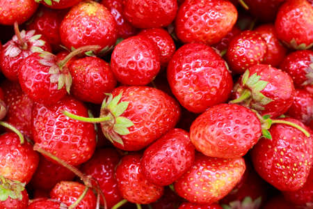background from freshly harvested strawberries. Top view. Food backgroundの写真素材