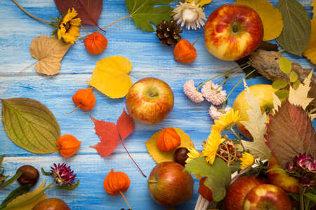 Autumn bright background. Flowers, leaves and fruits on a blue wooden background. Background for the autumn holidays and thanksgiving day.の写真素材