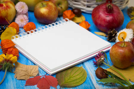 Autumn bright background. Notebook for the inscription. Flowers, leaves and fruits on a blue wooden background. Background for the autumn holidays and thanksgiving day.の写真素材